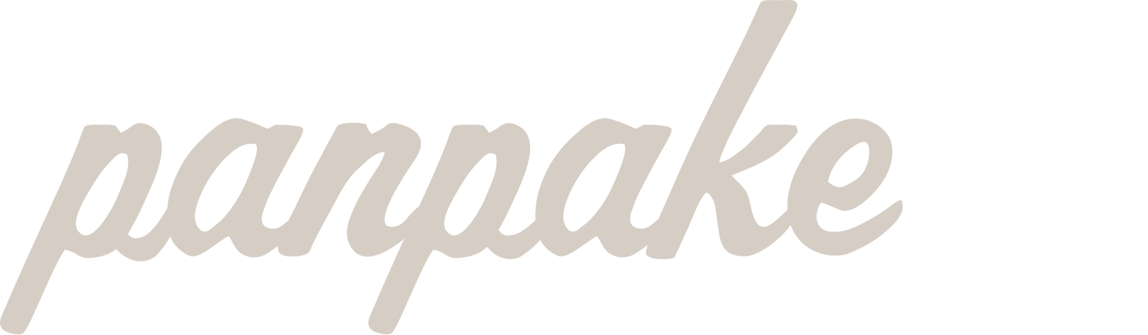 Panpake | Custom HTML Email Development